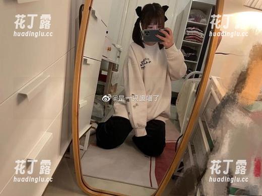 探秘无圣光的魅力：是一只废喵了与圣诞麋鹿的梦幻写真，精彩图片分享.txt