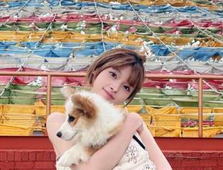 惬意的圣诞小甜甜，河豚抚子带来的精彩图片与下载内容快速获取！.txt