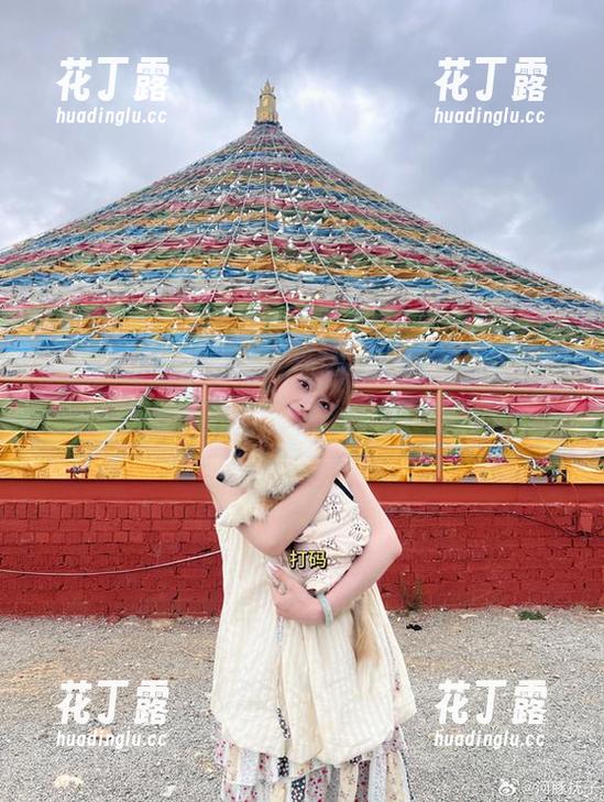 惬意的圣诞小甜甜，河豚抚子带来的精彩图片与下载内容快速获取！.txt