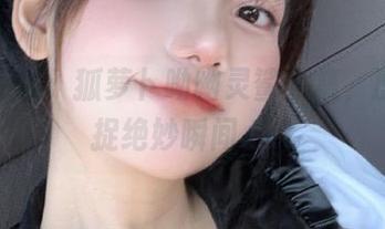 重磅推出：狐萝卜呦幽灵鲨全集，原图捕捉绝妙瞬间.txt
