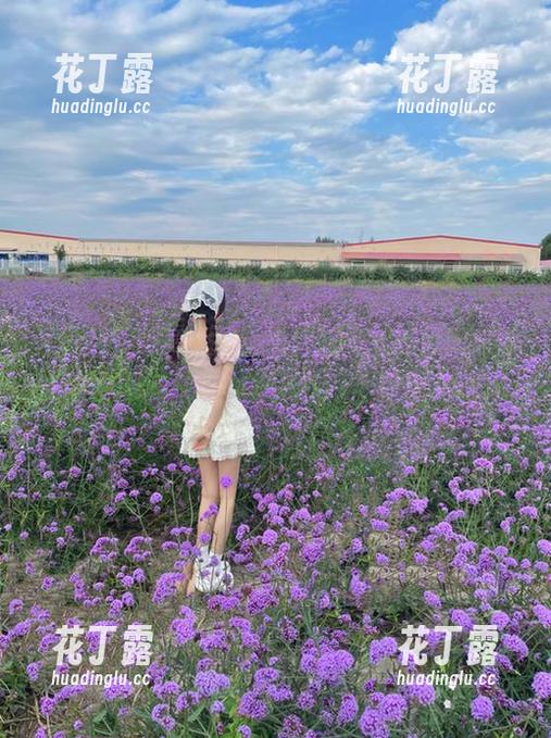 秀人网 - 细腻之美：圆圆酱兔女郎原图与图集，让你瞬间沉浸在视觉享受中.txt